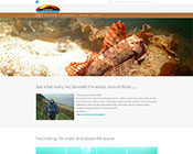 click for enlarged view Arran Sealife